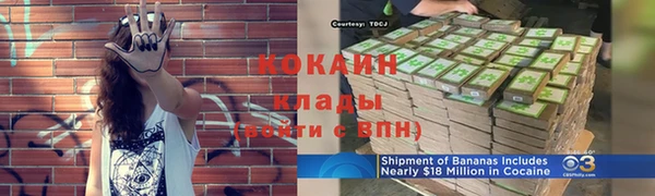 прущие крисы Арсеньев