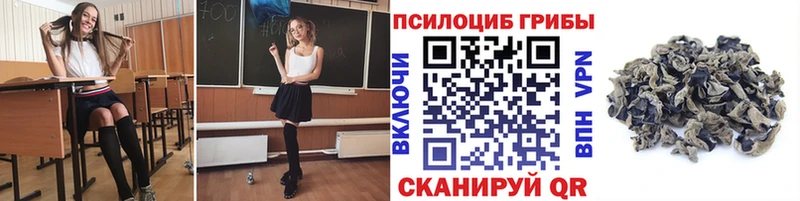 Псилоцибиновые грибы ЛСД Окуловка